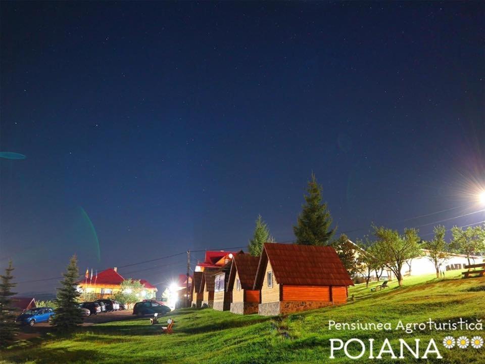 Pensiunea Agroturistica Poiana Poiana Negrii Exterior foto