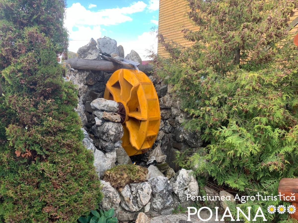 Pensiunea Agroturistica Poiana Poiana Negrii Exterior foto