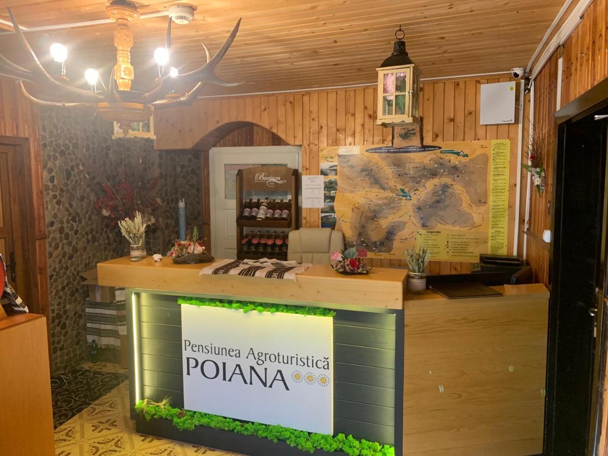 Pensiunea Agroturistica Poiana Poiana Negrii Exterior foto