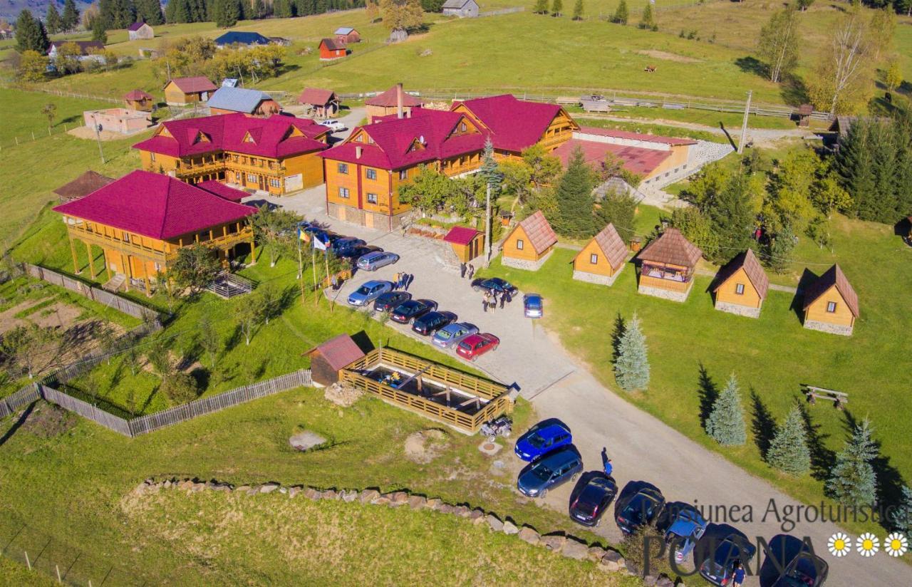 Pensiunea Agroturistica Poiana Poiana Negrii Exterior foto