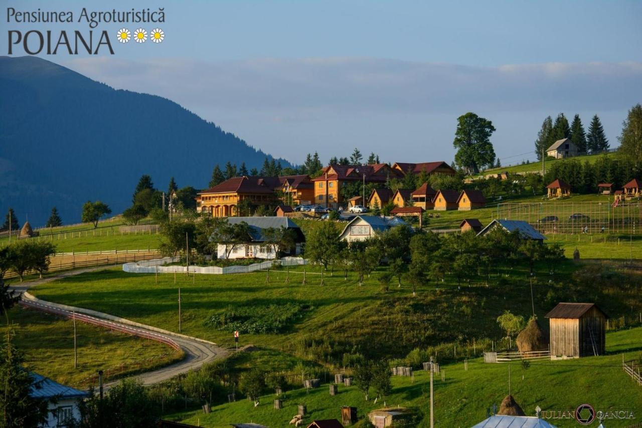 Pensiunea Agroturistica Poiana Poiana Negrii Exterior foto
